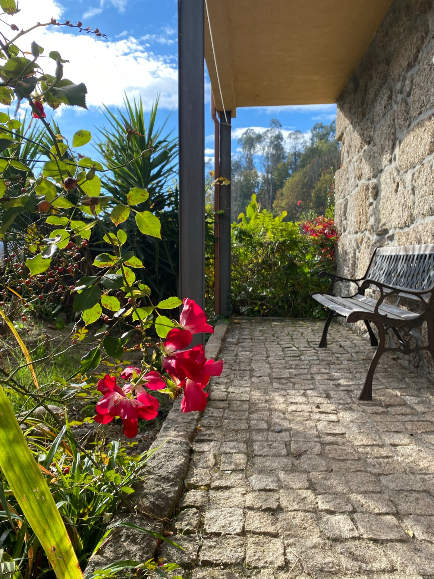 Jardim com flores