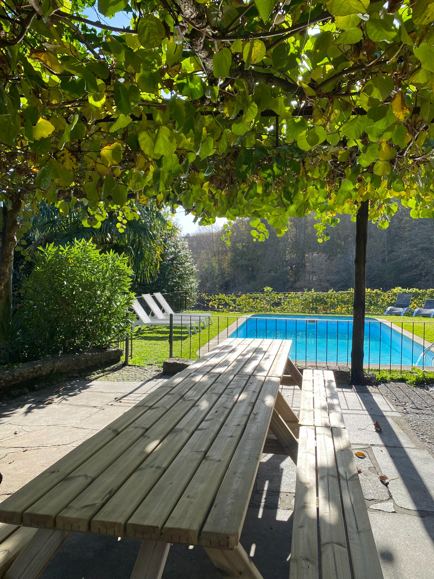 Mesa de madeira à sombra da latada, com a piscina ao fundo